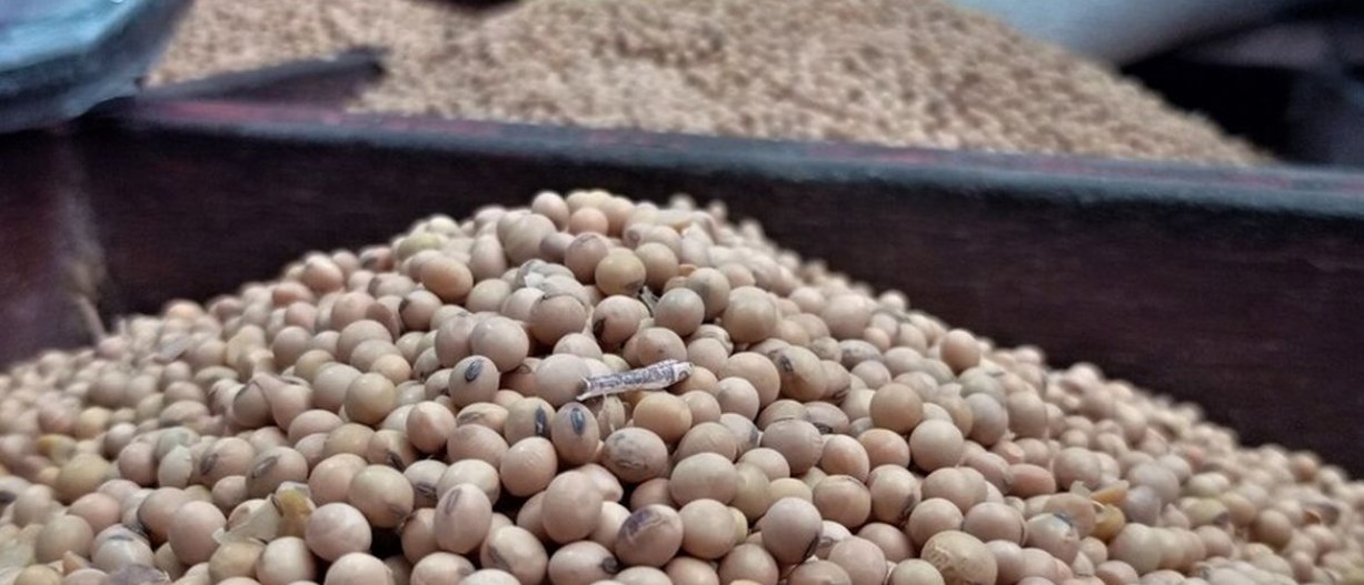 Permasalahan Kedelai